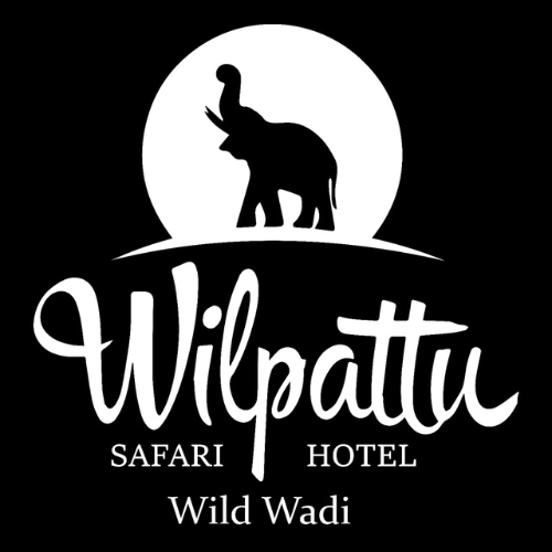 Wild Wadi Wilpattu, Wilpattu | Official Site